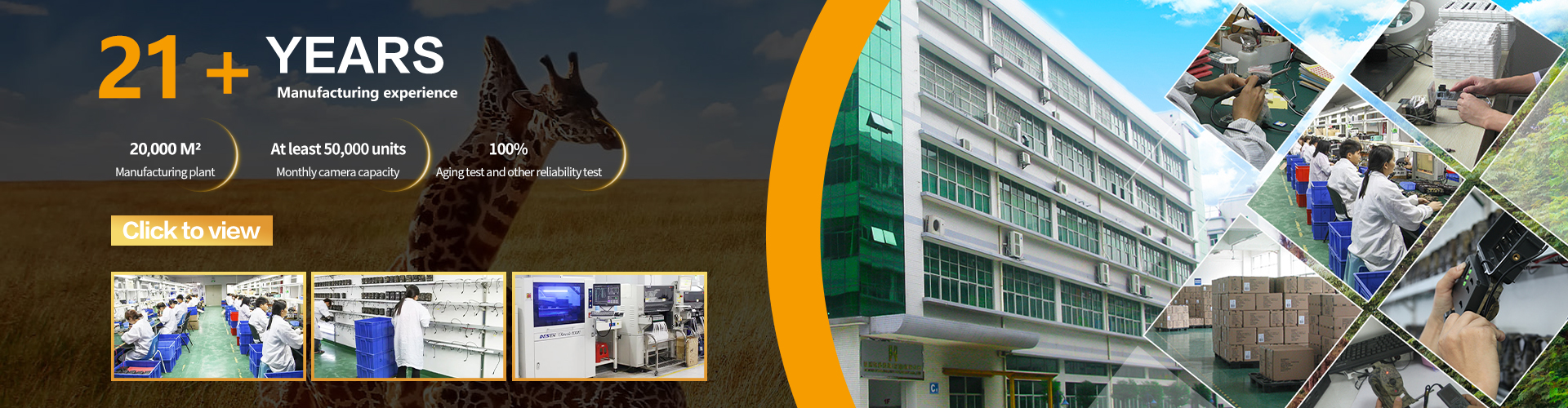 Company Profile