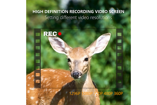 How does the wifi wildlife scouting cam enhance the flexibility of wildlife scouting cameras?